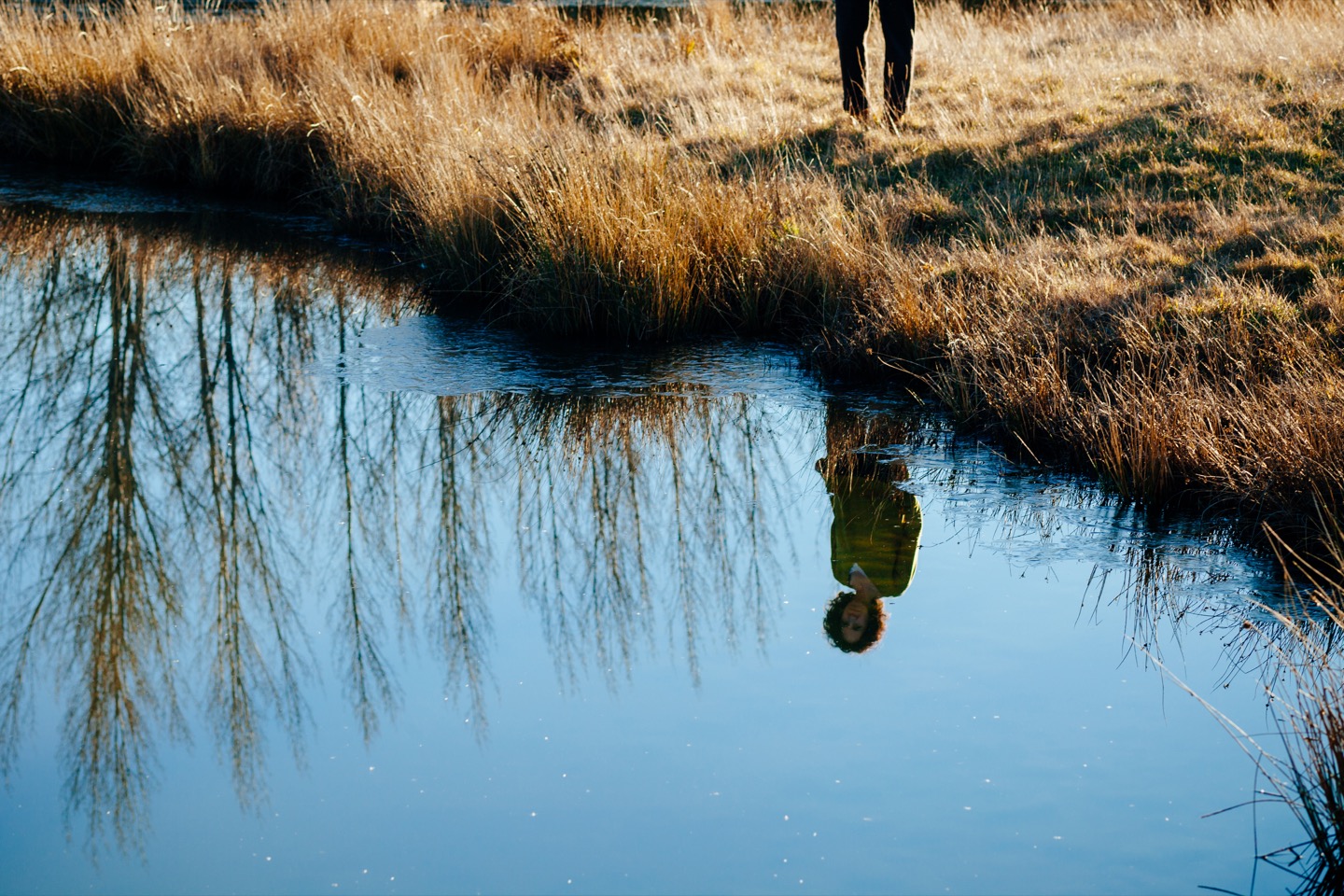 Fotografía de un paisaje y ANA GIL- Coach de Mindfulness y Astrología reflejada en el agua